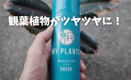 記事を見る