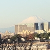 昨日の富士山&#128507;と桜&#127800;