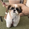 さくらと保育園