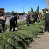 Fruit Trees May Be A Positive Aspect To Your Environment