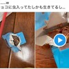 【驚愕】チロルチョコ虫混入騒動の真相｜48時間で見えた企業の神対応とは