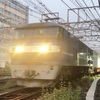 1095レ 鹿島貨物(EF210-119) 【スマホ動画】