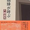 土曜の休息、かたわらに本