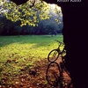 輝く木の葉と自転車