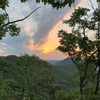 登ってみたシリーズ　金華山編