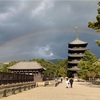 （奈良ぶらぶら）わが家に奈良ブーム到来！春日大社　興福寺