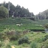 「週末、森へ」のような暮らし