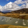 Climate crisis in the American west Weather whiplash: California’s historic downpour interrupts historic drought