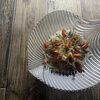 アジの生姜ドレッシング