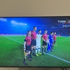 孤独な応援団