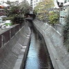 渋谷川を泳ぐ魚の群れ