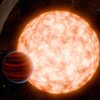 高速形成太陽系外惑星を研究