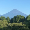 今朝の景色