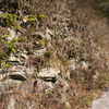 多賀火山の岩脈