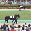 東京競馬 8R パドック直前予想 ◎4 ワイルドダラー