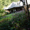 秋の北鎌倉：東慶寺と浄智寺
