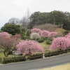 2月16日　総合農事センター　梅満開