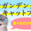 愛猫の口臭が気になる方、必見です！！