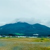 ほぼドライブ