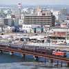 【2022/01/30.02/05-06.03/06.12】大好きな公園で息抜き…、じゃなくてDL冬の湿原号撮影！