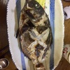 本日釣った魚の料理