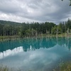 【北海道旭川旅① 青い池　ラベンダーファーム富田】
