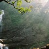 【スリランカ世界遺産⑦】シンハラージャ森林保護区
