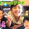 8月11日の動画