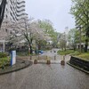 かっぽさんぽ☔(897日目)