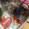 ブサい金魚のその後