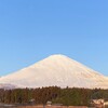 冠雪富士山🌨️🗻