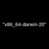 Your bundle only supports platforms ["x86_64-darwin-20"] but your local platform エラー