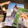 あまりにもふ過ぎるグラビア