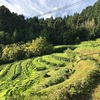 里山へ