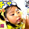 11月8日の動画