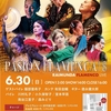 ライブお知らせ
