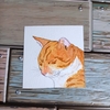 水彩画655枚目｢寝る猫さん｣
