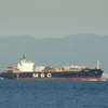 MSC LEVINA 