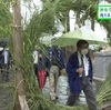 荒尾市の四山神社で「茅の輪くぐり」