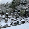 元日は銀世界でした。