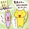 占ってみた20241124