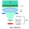 そもそも露出ってなんだっけ？