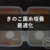 【家庭きのこ栽培】きのこ菌糸培養に使う野菜ジュース寒天培地を最適化しようとしてみた