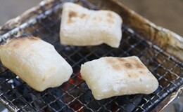 記事を見る