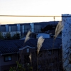 6−FEB-2020