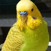 ８月２日の相場見てみたよ　チュン