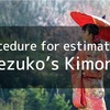 Procedure for estimating Nezuko’s Kimono