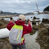 淡路島　ウェルネスパーク五色でオートキャンプ