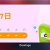 【英語学習】Duolingo