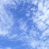 ［24/05/29］みずのと み 大の気配で０７ｈ３０過ぎ